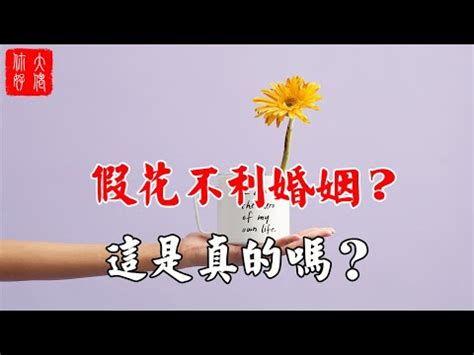 家裡不要放假花